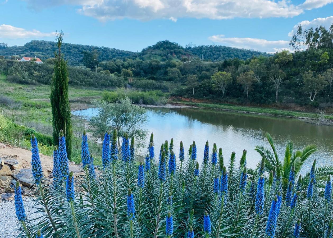 Figs On The Funcho Self Catering - A River Side Location Pedreiras  Buitenkant foto